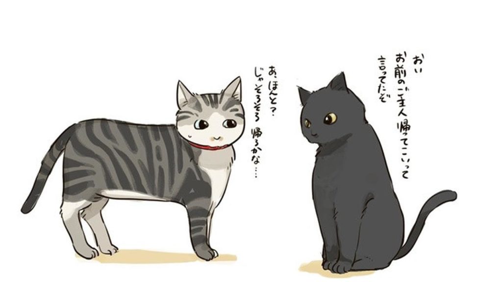 Cara Orang Jepang Temukan Kucing Hilang
