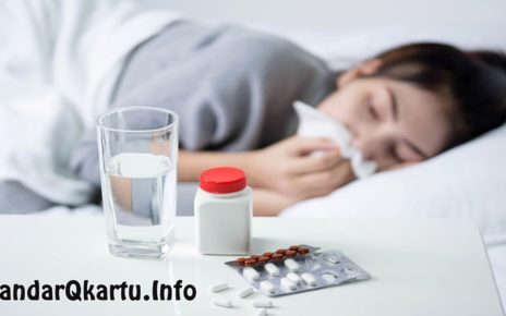 6 Tips Hindari Penularan Flu Saat Mudik