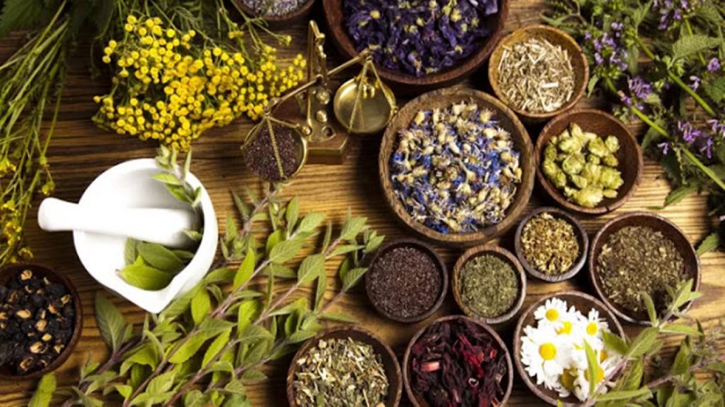 10 Obat Herbal yang Ampuh untuk Diabetes