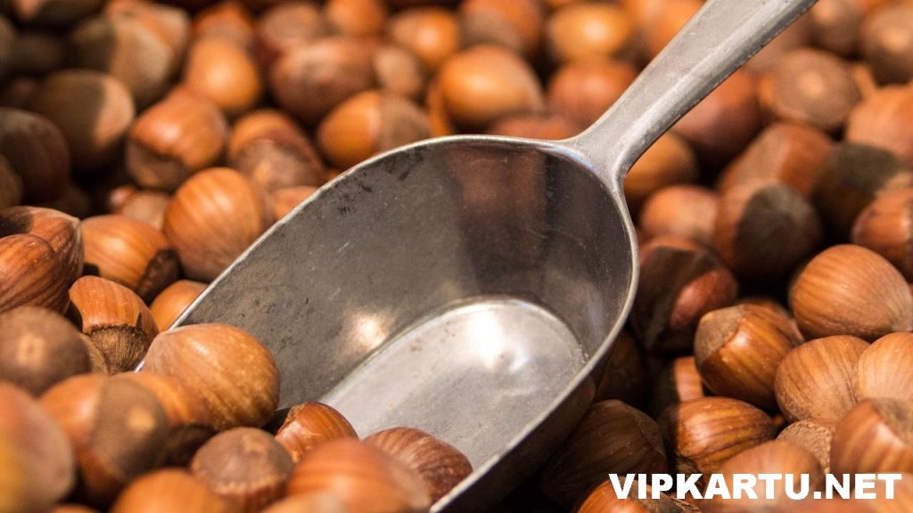 Manfaat Kacang Hazelnut untuk Kesehatan Ampuh Turunkan Risiko Kanker 