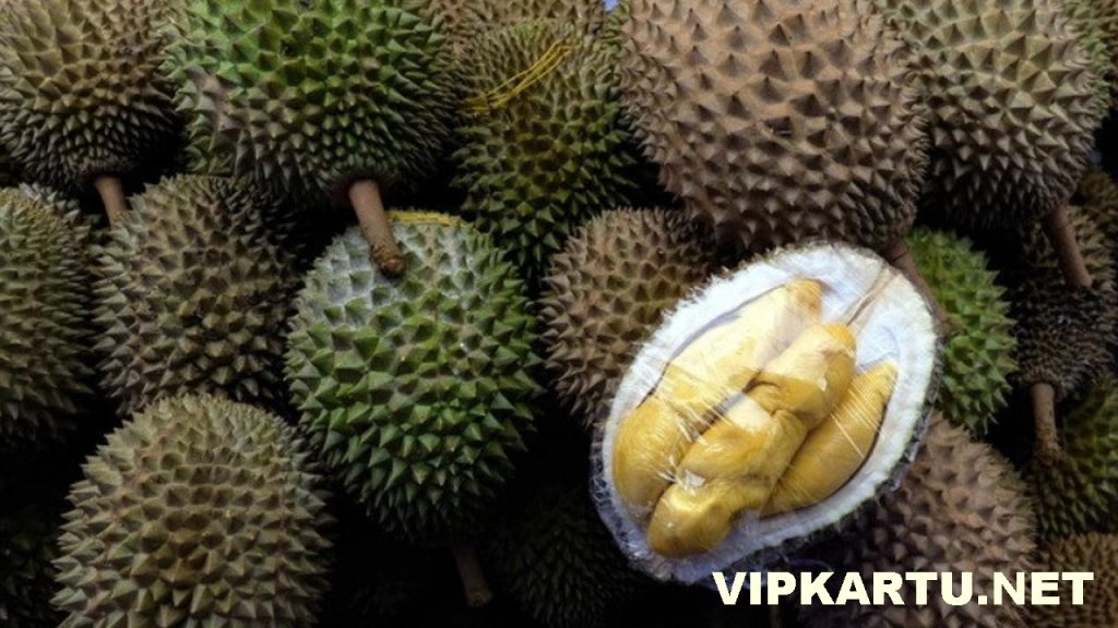 Manfaat Mengagumkan Durian Bagi Kesehatan Tubuh 