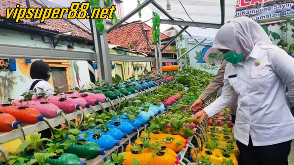 Mari Belajar dari Kampung Sayur Palembang