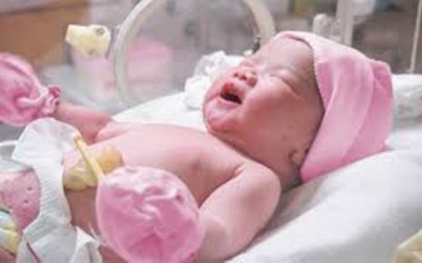 Cegah Kelahiran Prematur, 6 Manfaat Konsumsi Jambu Biji Saat Hamil