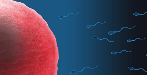 Hoaks soal Sperma yang Masih Dipercaya 