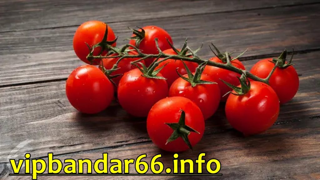 Manfaat Tomat untuk Kesehatan Tubuh Dan Jaga Kesehatan Jantung