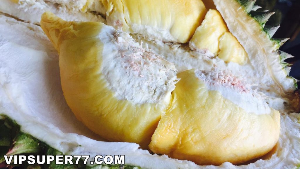 Manfaat Biji Durian Bagi Kesehatan yang Tak Banyak Orang Tahu