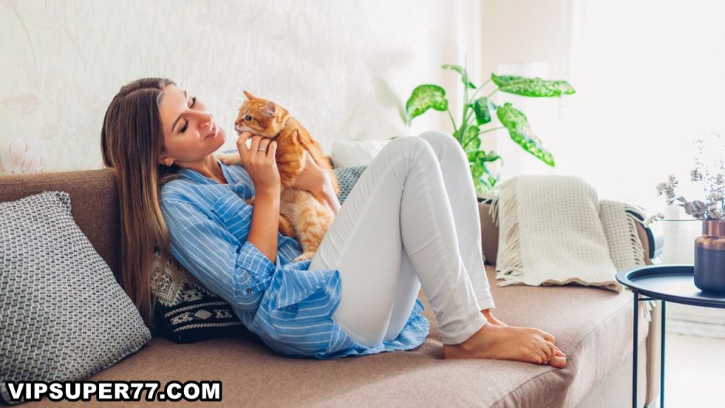 Bikin Hati Hangat dan Rileks Ini Beragam Manfaat Memelihara Kucing di Rumah