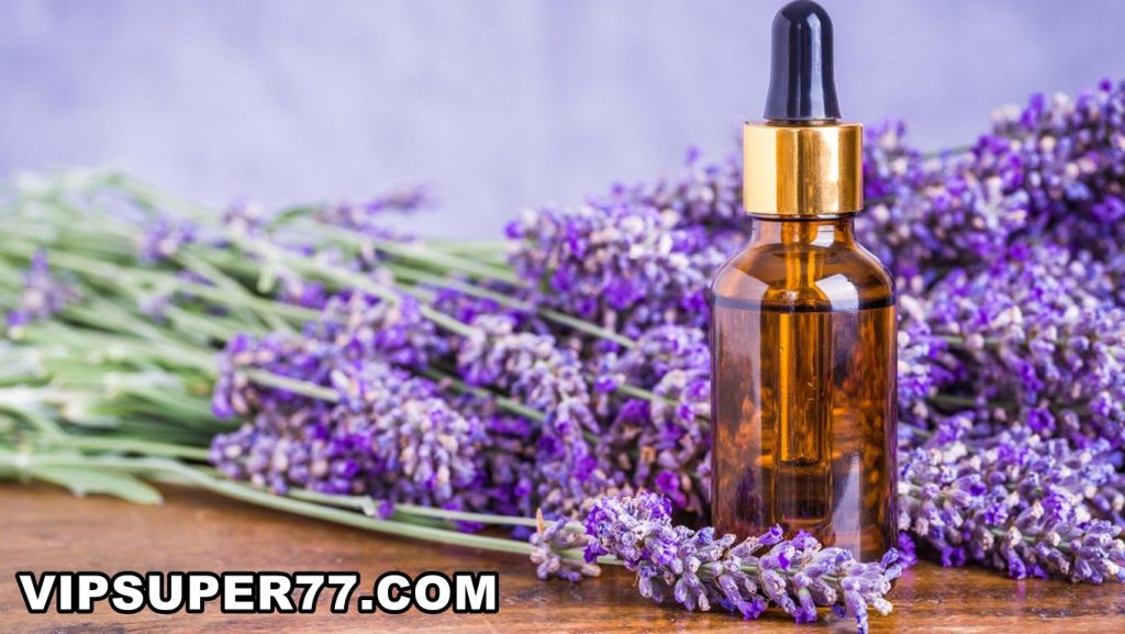 Selain untuk Pengharum Ruangan Ini Manfaat Penggunaan Minyak Lavender untuk Kesehatan 