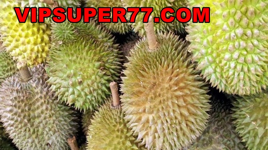 Manfaat Kesehatan yang  Bisa Diperoleh dari Konsumsi Durian