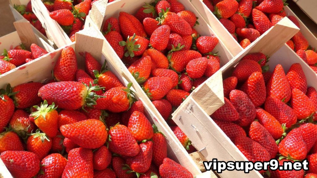 Manfaat Strawberry untuk Kesehatan dan Kecantikan