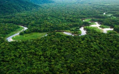 7 Bencana Mengerikan Jika Hutan Amazon Hilang