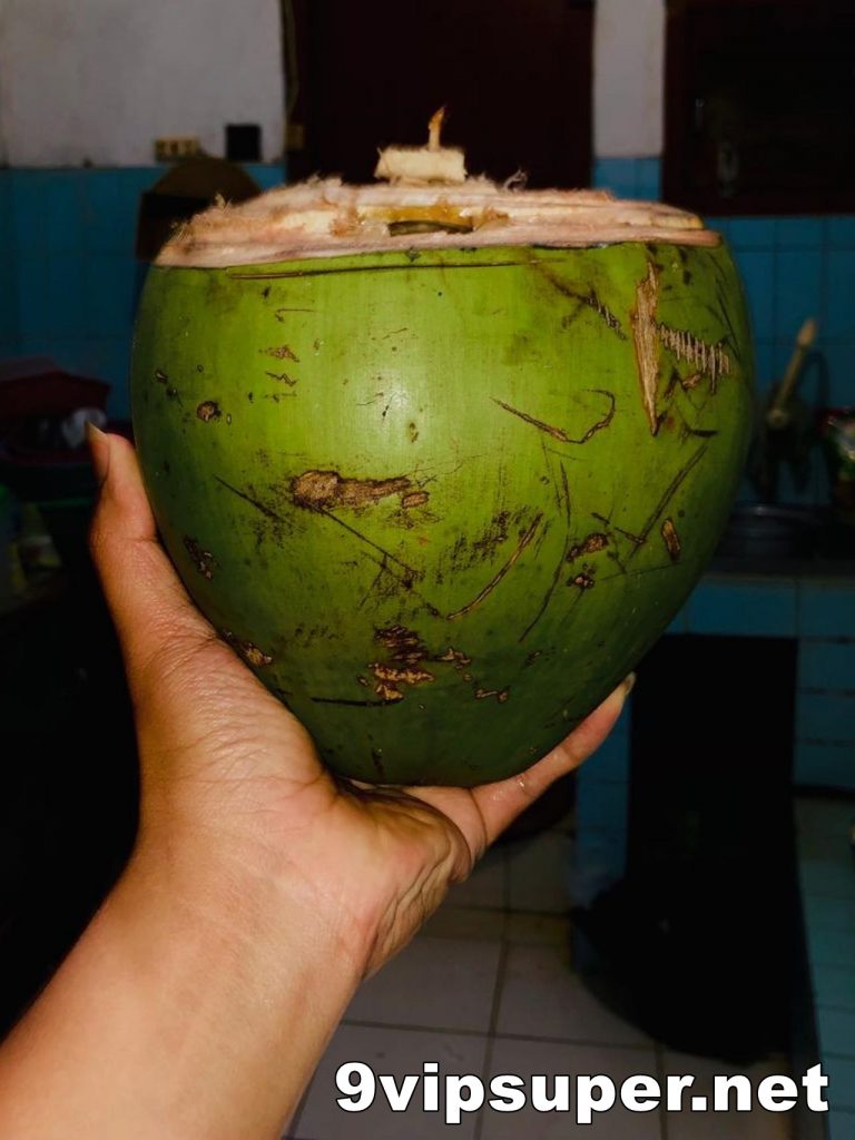 Manfaat Minum Air Kelapa di Masa COVID-19 Apa Bisa Jaga Daya Tahan Tubuh