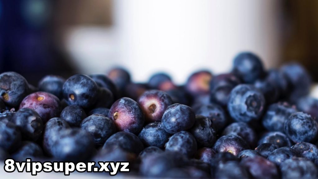 Bisa Menurunkan Risiko Penyakit Jantung Inilah Manfaat Blueberry bagi Kesehatan 