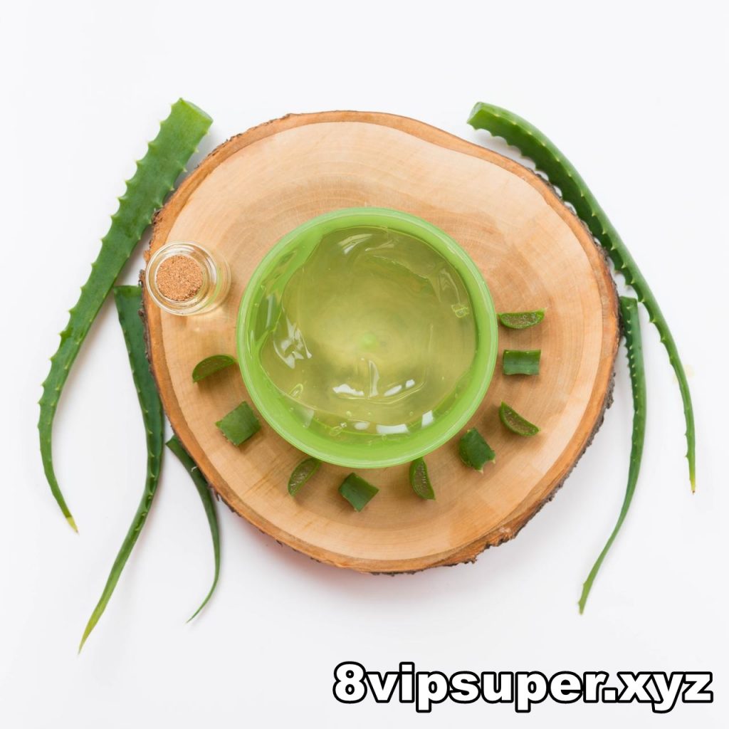 Manfaat Nature Republic Aloe Vera Gel untuk Wajah Bikin Kulit Lebih Segar