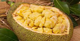 11 Manfaat Nangka: Buah Tinggi Protein Pengganti Daging