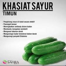 Warisan Petani: WW 205 : Khasiat Sayur Timun